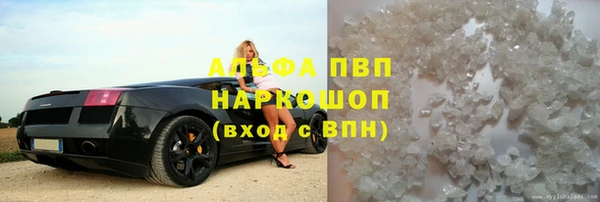 ешки Аркадак