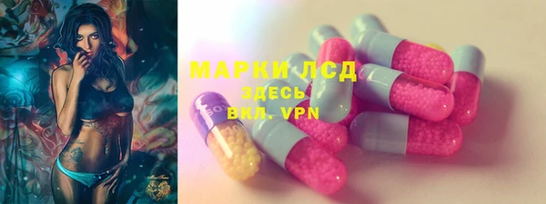 ешки Аркадак