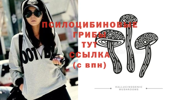 ешки Аркадак