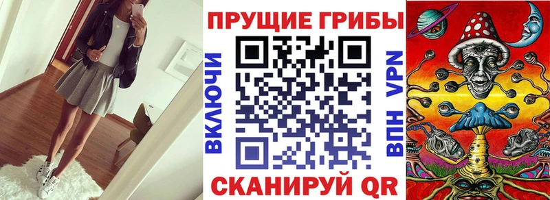 Псилоцибиновые грибы Psilocybe закладка Няндома